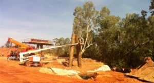Goyder River Project